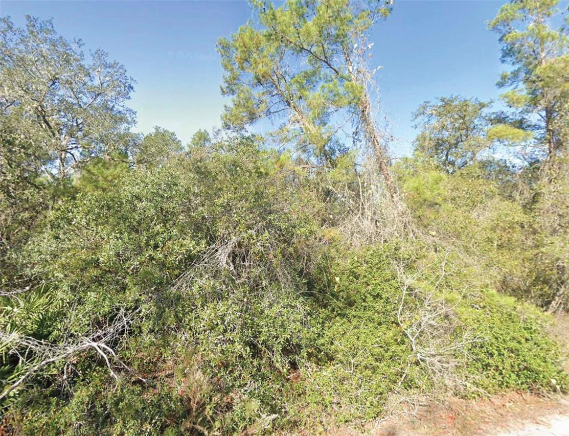 Fisher Tr., Ocklawaha, FL 32179
