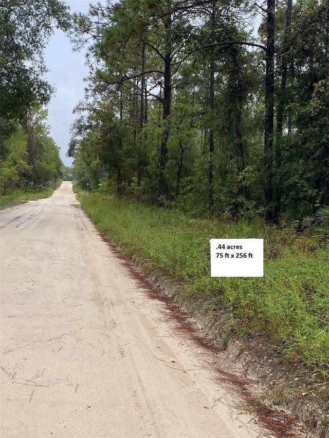SW Tbd Sw 27th Ln., Ocala, FL 34481