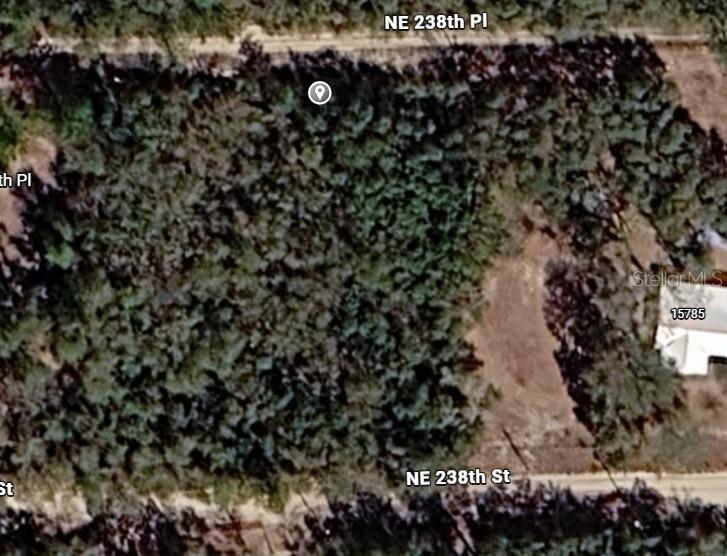 Ne 238th Pl, Fort Mc Coy, FL 32134
