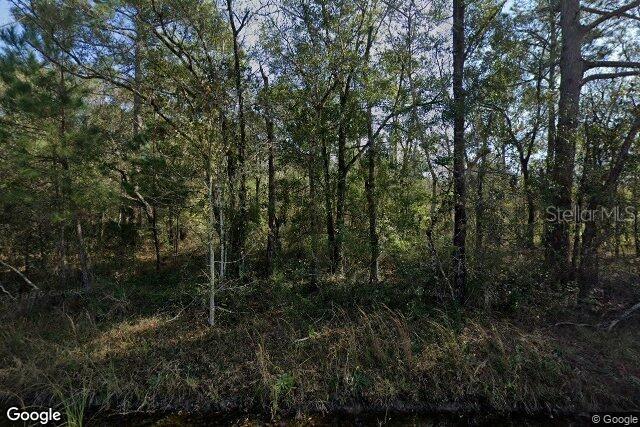 10100 Vaughan Ave., Hastings, FL 32145