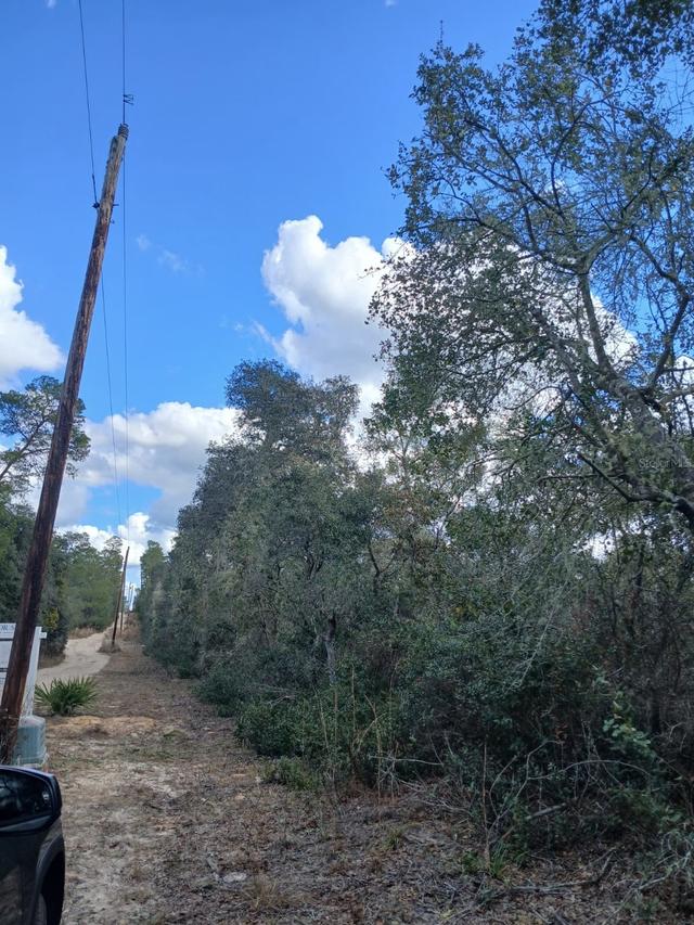TBD NE 234 Th Pl. #Lots 19.20.21, Fort Mc Coy, FL 32134