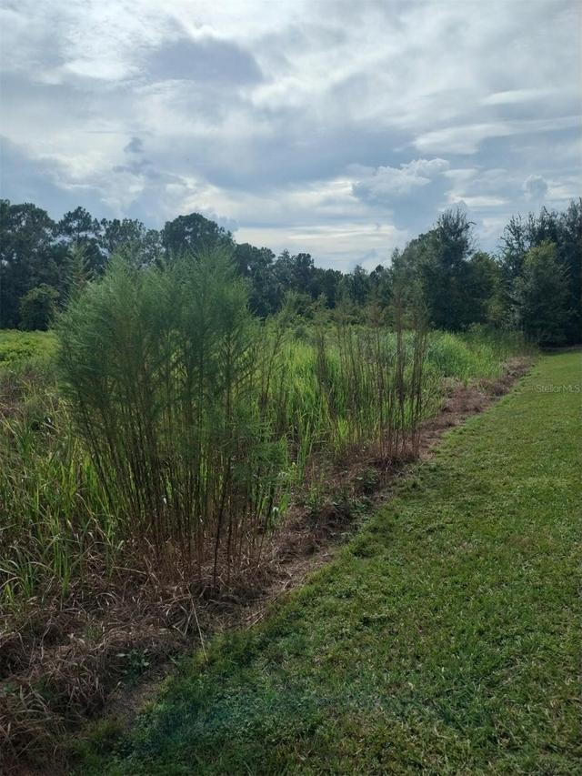 2900 W Shula Rd., Avon Park, FL 33825