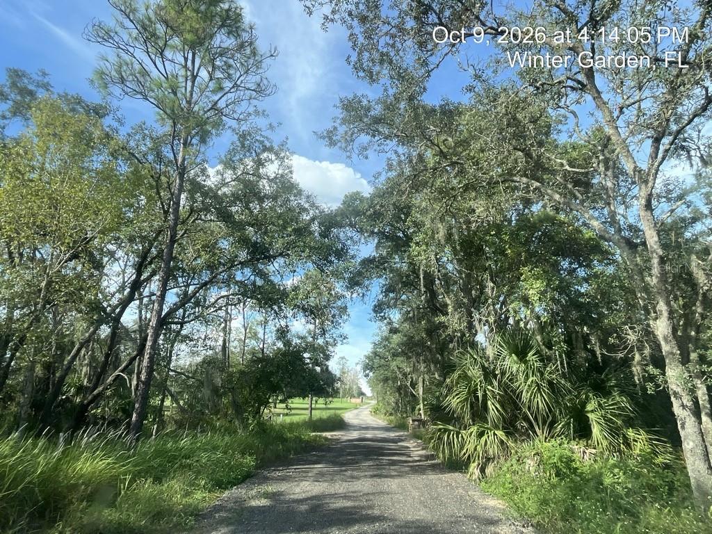 9901 Avalon Woods Dr., Winter Garden, FL 34787