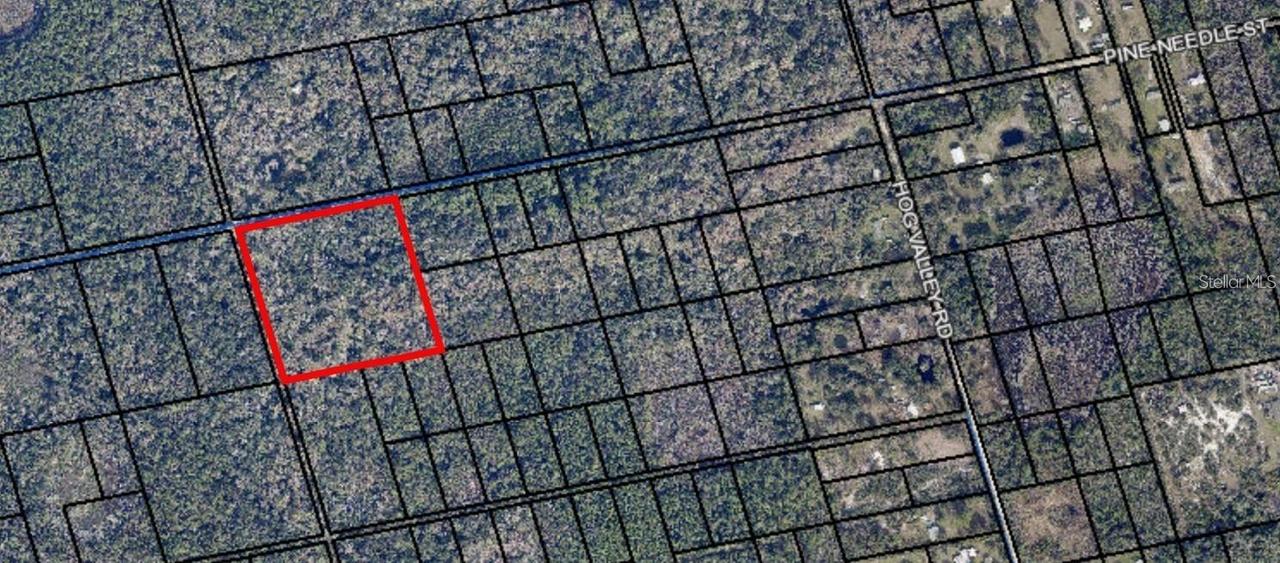 095 Pine Needle Rd., Mims, FL 32754