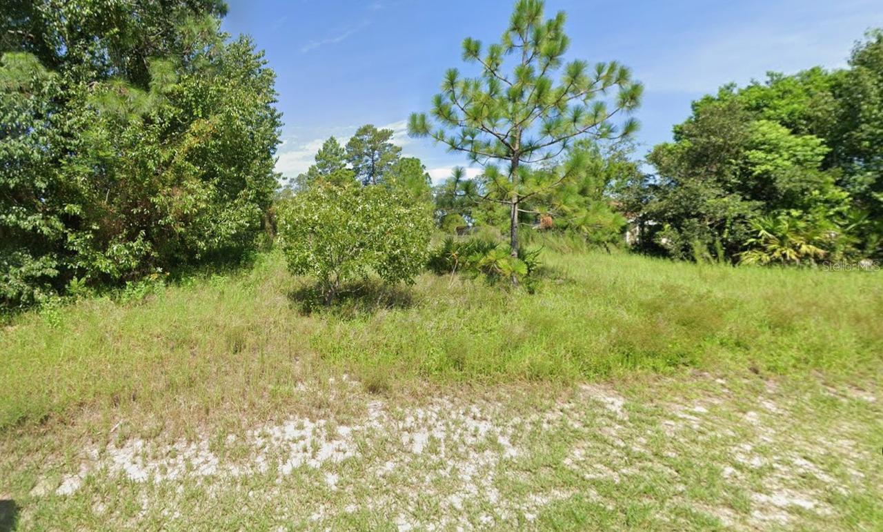 10533 Noddy Tern Rd., Weeki Wachee, FL 34613
