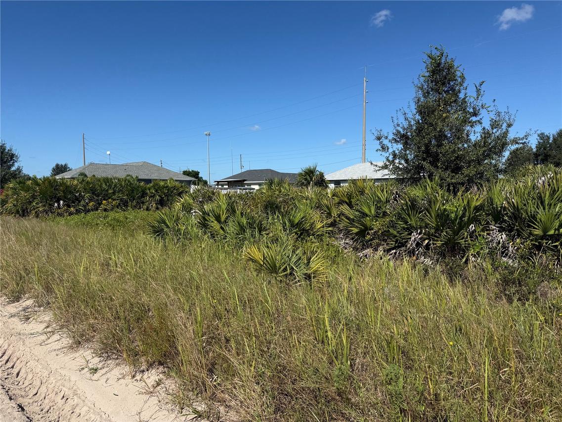 2536 W Haviland Rd., Avon Park, FL 33825