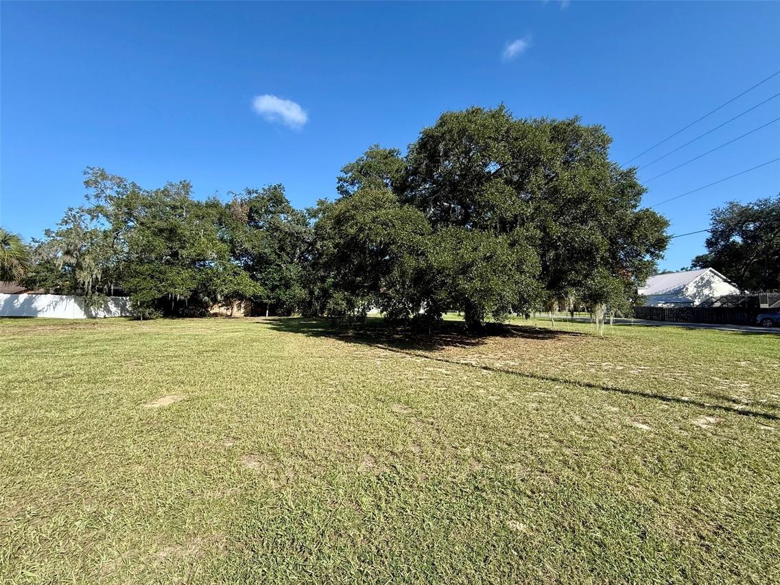 Waycross Ave., Eustis, FL 32726