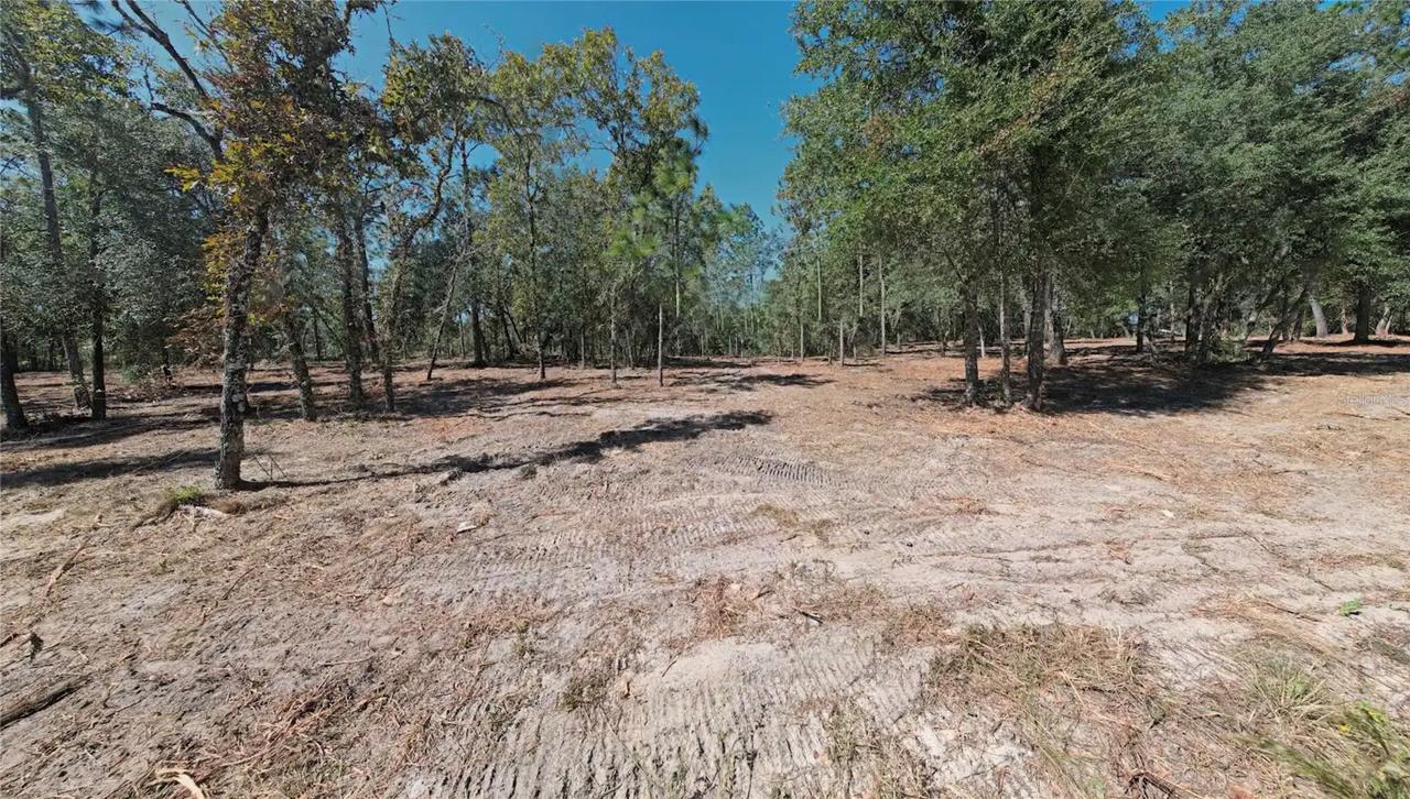 NE 16th Pl., Williston, FL 32696