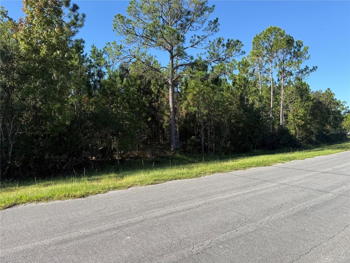 Reynolds Pkwy., Orlando, FL 32833