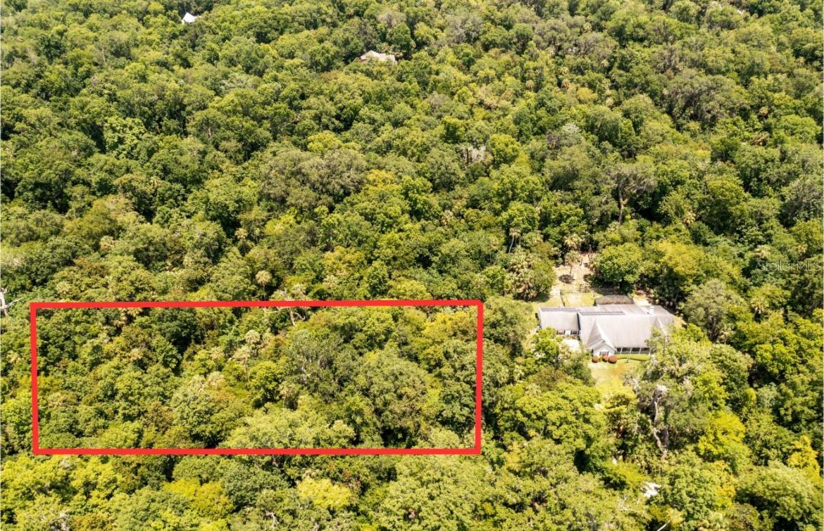 Shady Palm Cove, Oviedo, FL 32765