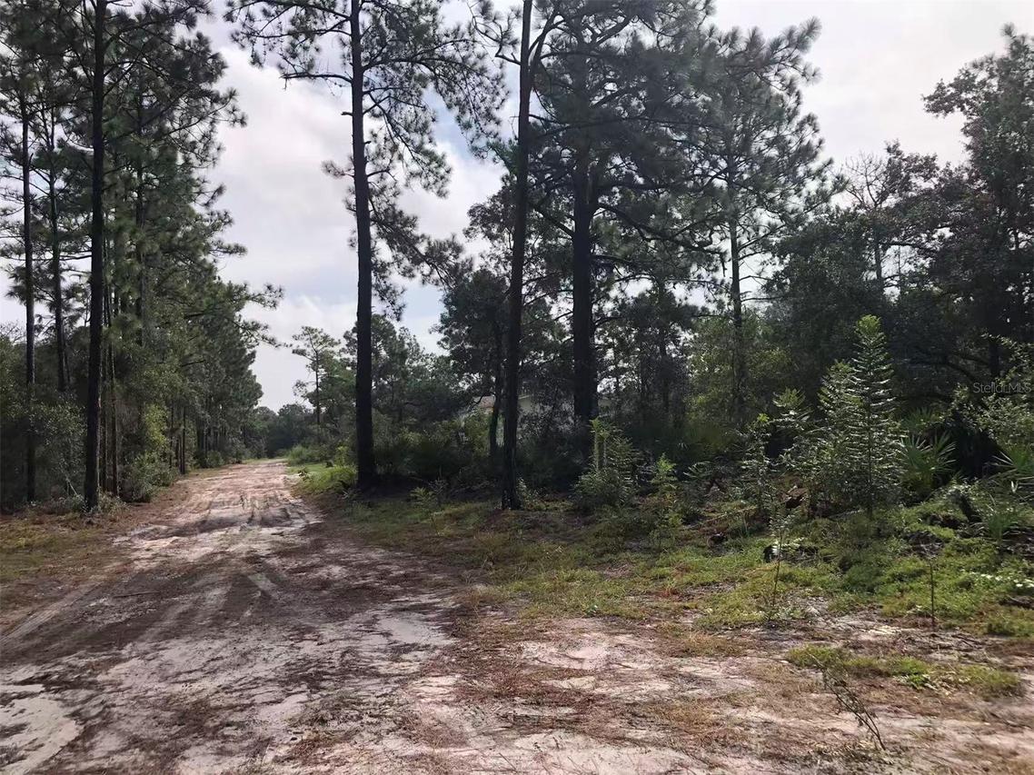 Lot 228 Park Forest Blvd., Mount Dora, FL 32757