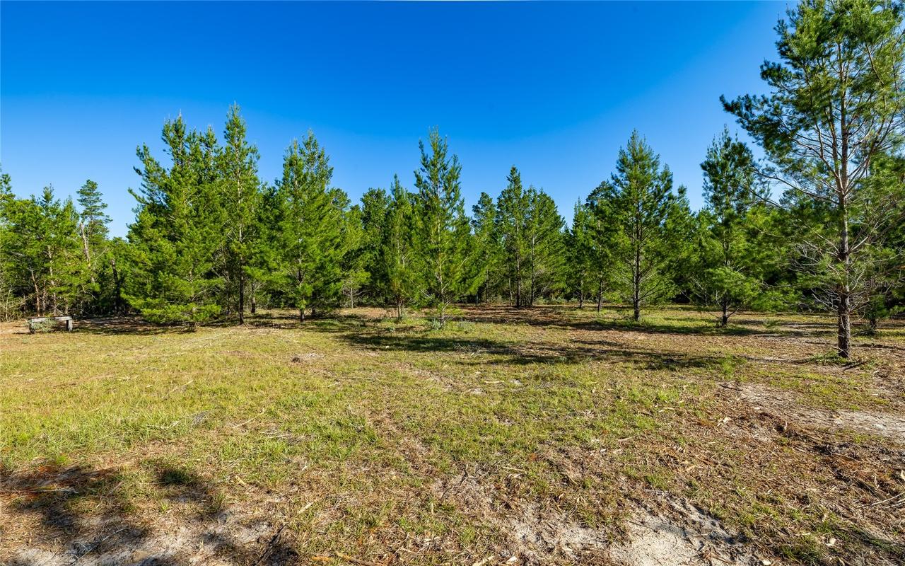 16308 Singer Rd., Youngstown, FL 32466