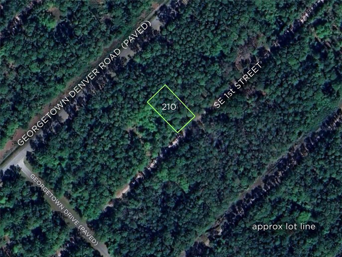210 SE 1st St., Georgetown, FL 32139