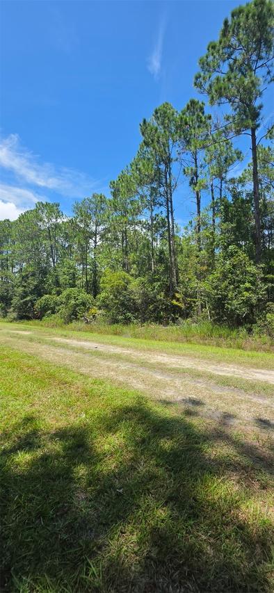 4220 Isaac St., Hastings, FL 32145