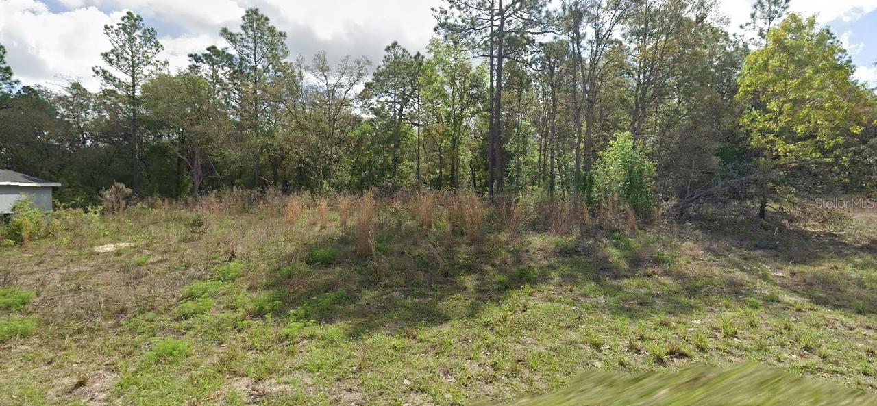 8445 N Janeaux Dr., Citrus Springs, FL 34434