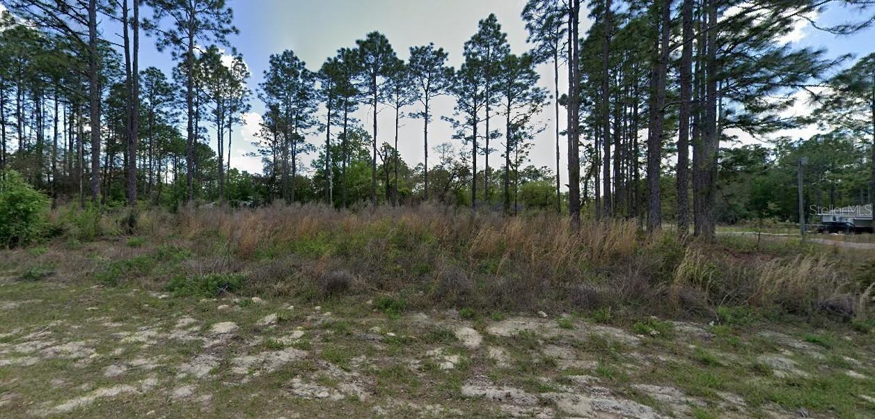 1562 W Acadian Pl., Citrus Springs, FL 34434