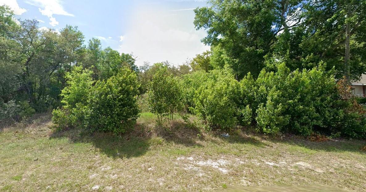 8278 N Triana Dr., Citrus Springs, FL 34434