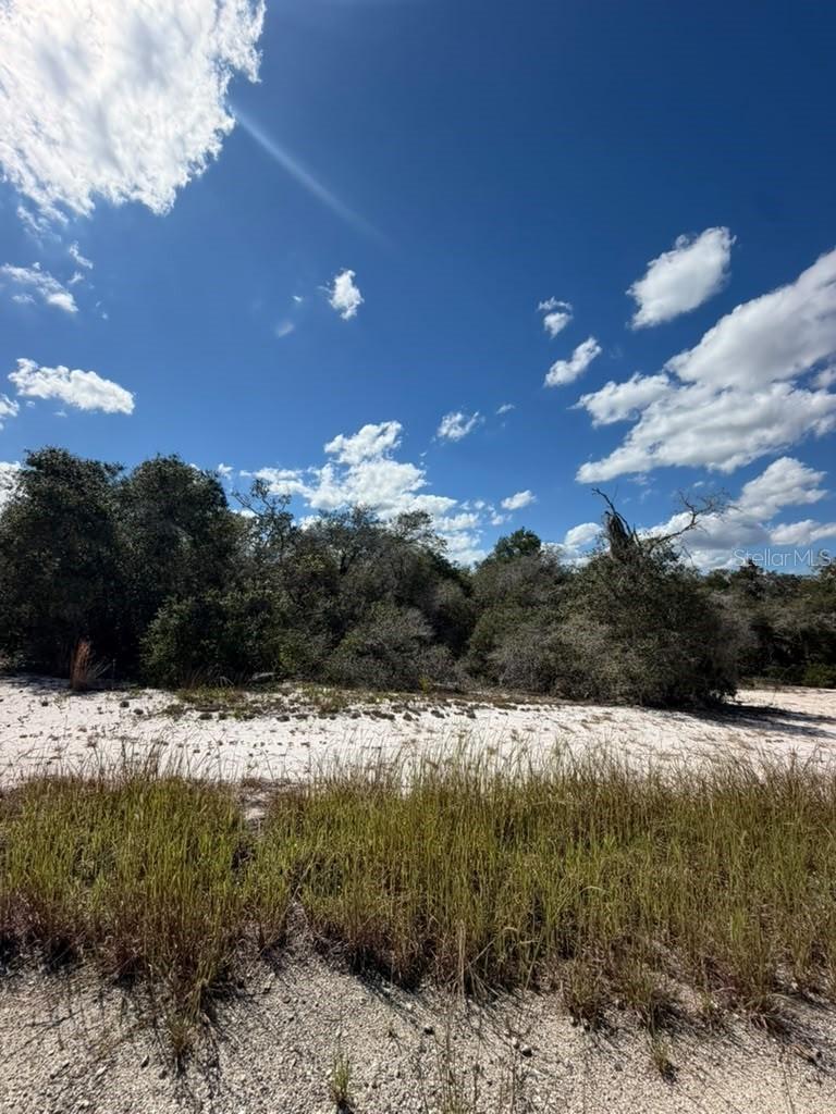 244 Dargen Dr., Lake Placid, FL 33852