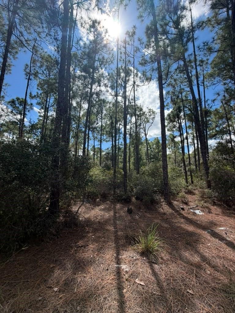 421 Amorous Ave., Lake Placid, FL 33852
