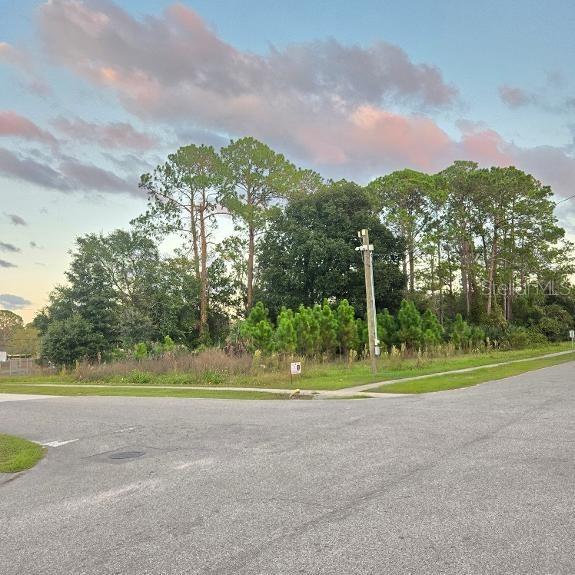 XXX Tbd S. Anderson St St., Bunnell, FL 32110