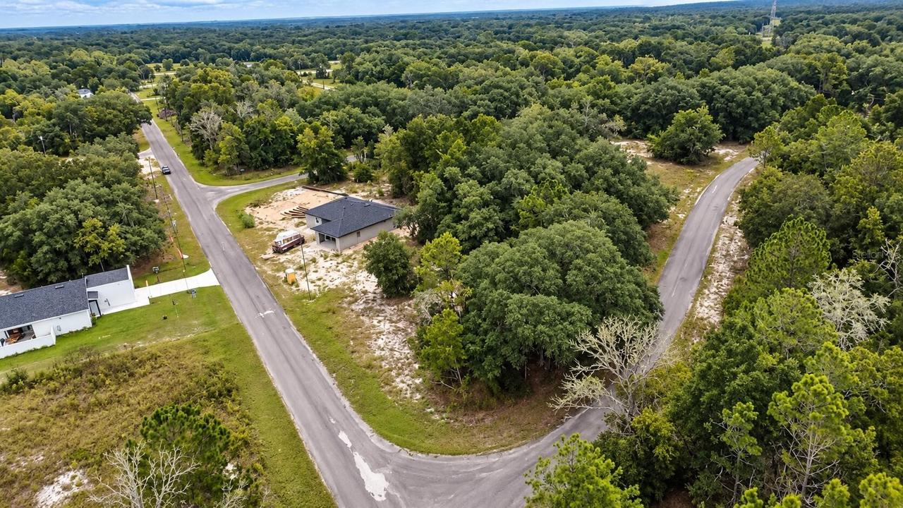 Guava Ln., Ocklawaha, FL 32179