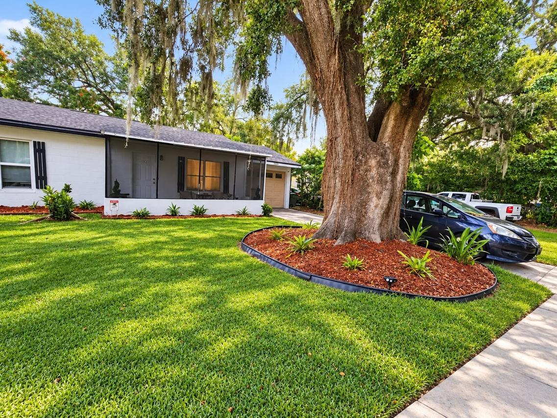1215 37th St., Orlando, FL 32805