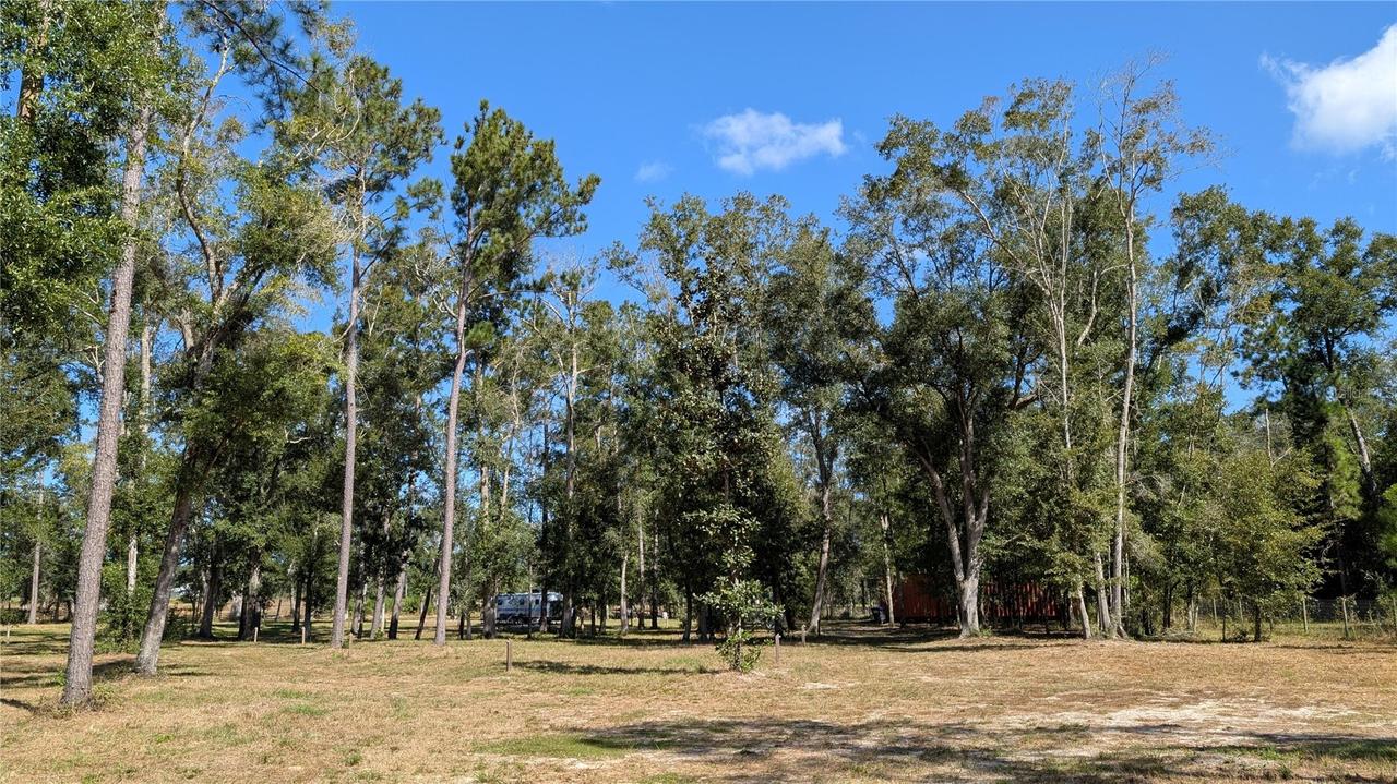 10591 160th St., Mc Alpin, FL 32062