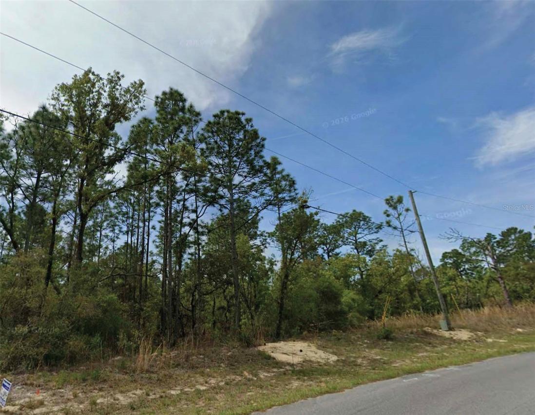 6677 N Waterman Dr., Citrus Springs, FL 34434