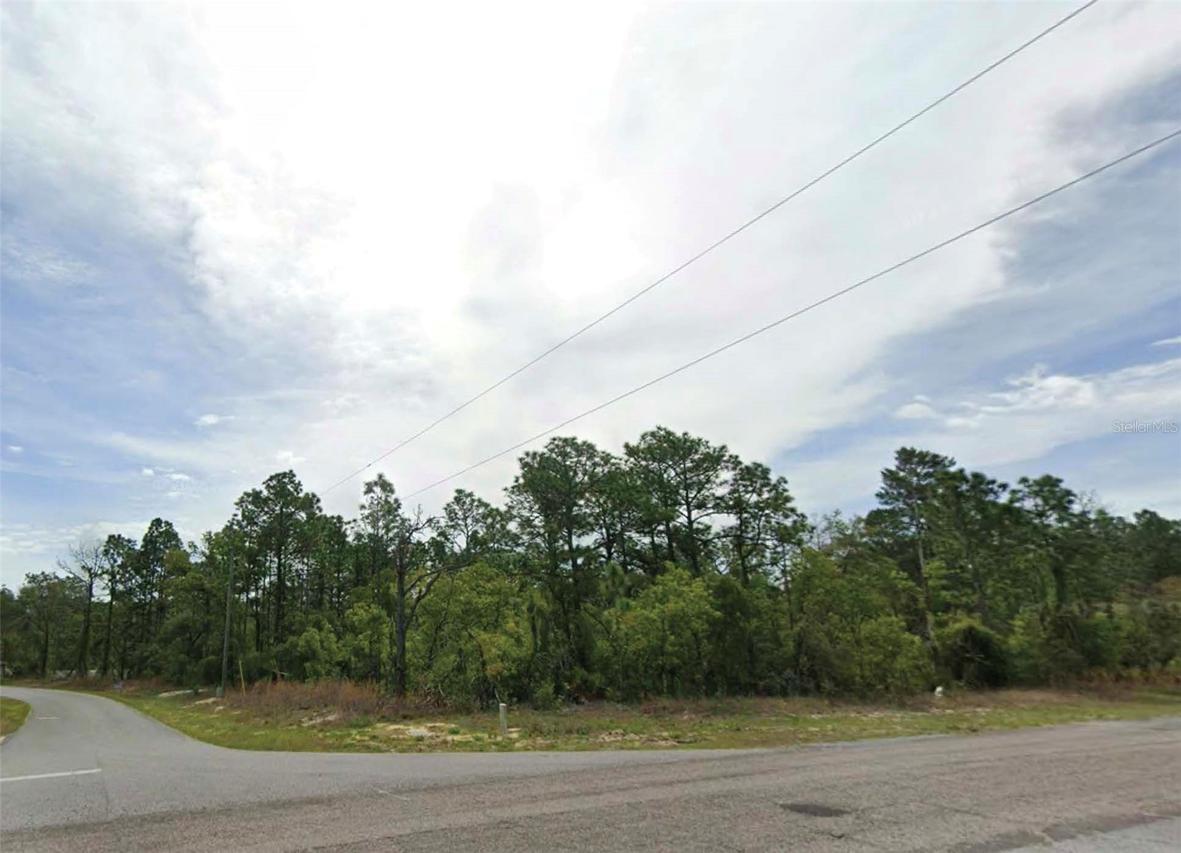 6673 N Waterman Dr., Citrus Springs, FL 34434
