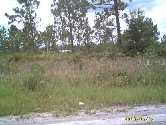 xx Salem St., Kissimmee, FL 34742