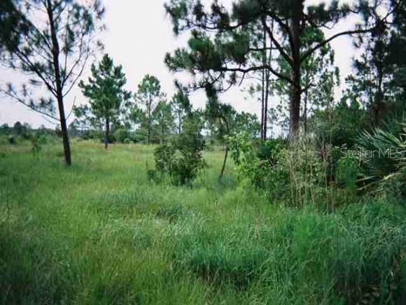 12271 124th Ave., Okeechobee, FL 34972