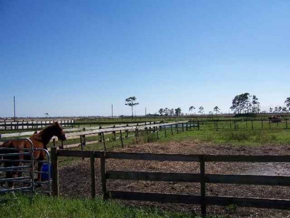 11637 76th Ave., Okeechobee, FL 34972