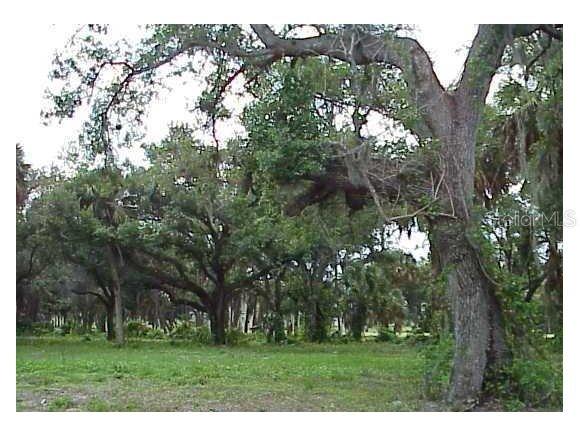 1006 SE 10th St., Okeechobee, FL 34974