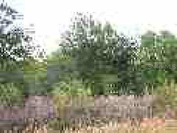 17010 254th St., Okeechobee, FL 34972