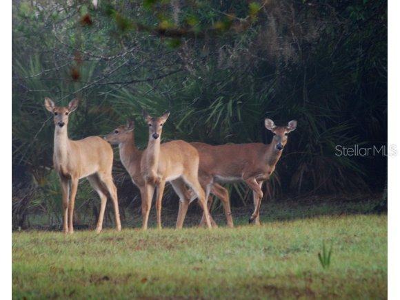 [Address Hidden by Seller], Okeechobee, FL 34974