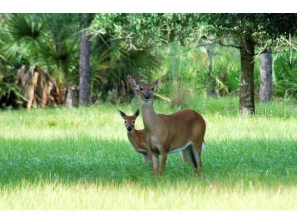 32801 441, Okeechobee, FL 34972