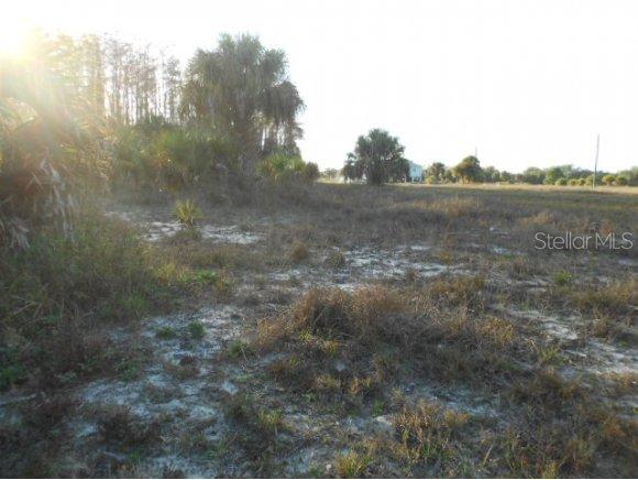 TBD Bucknell Rd., Labelle, FL 33471