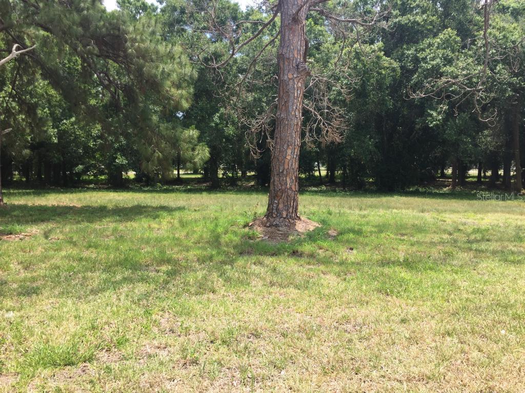 309 NE 4th St., Okeechobee, FL 34972