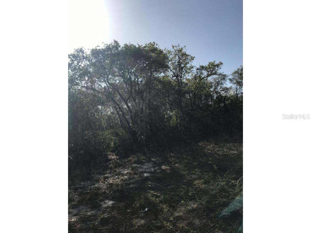 TBD NW 364th Rd., Okeechobee, FL 34972