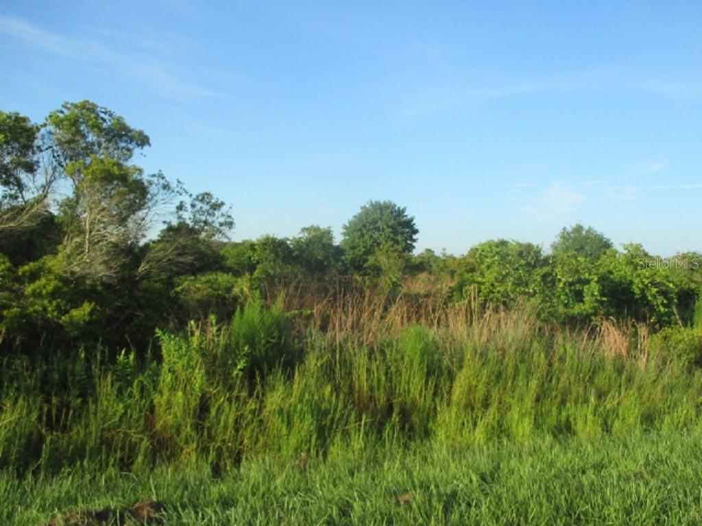 16805 NW 274th St., Okeechobee, FL 34972