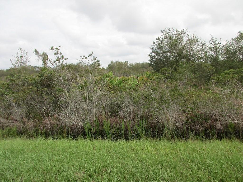 19371 NW 254th St., Okeechobee, FL 34972