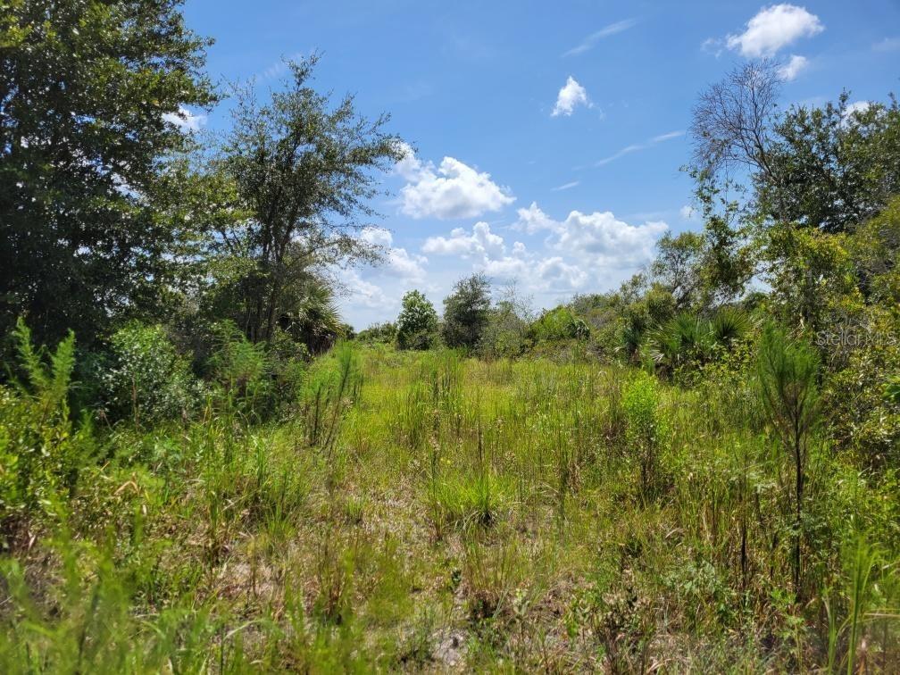 14562 & 14510 NW 290th St., Okeechobee, FL 34972