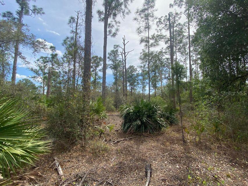 721 Louis Ave., Lehigh Acres, FL 33972