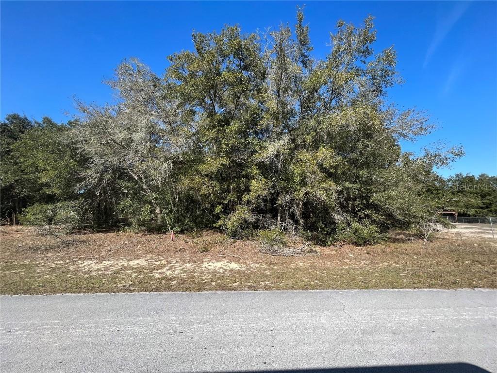 2063 W Chanron Pl., Citrus Springs, FL 34434