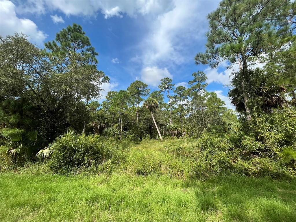 770 S Willow St., Tampa, FL 33606