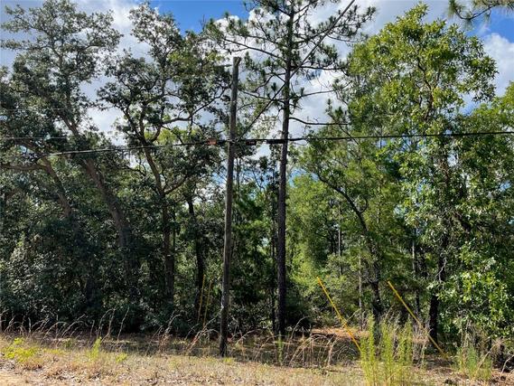 New Homes For Sale This Week in Keystone Heights: May 31st to June 6th