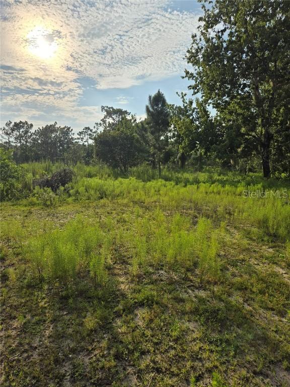 2301 NW 395th Ct., Okeechobee, FL 34972