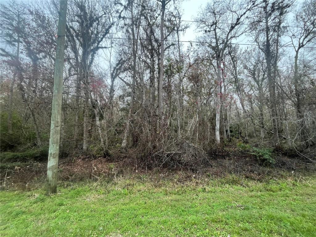 1946 Cr-305, Bunnell, FL 32110