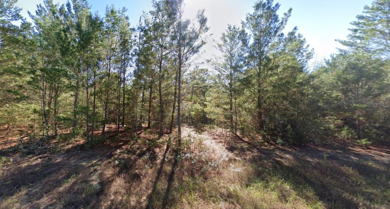 Meredith Pl., Chipley, FL 32428