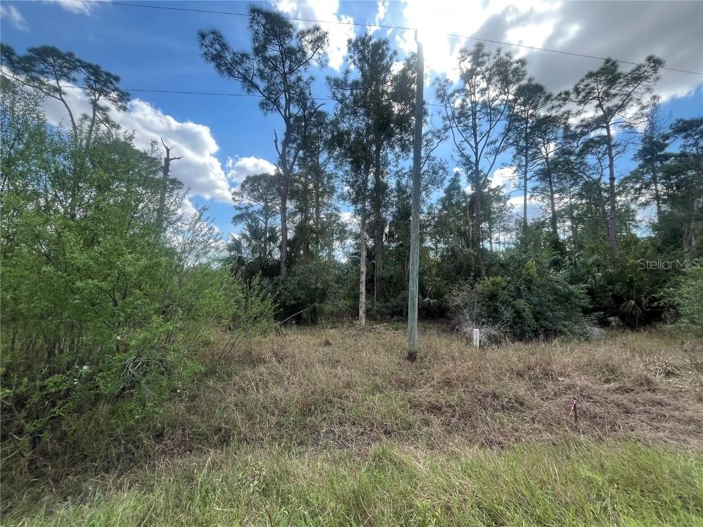 8551 Buckingham Rd., Fort Myers, FL 33905